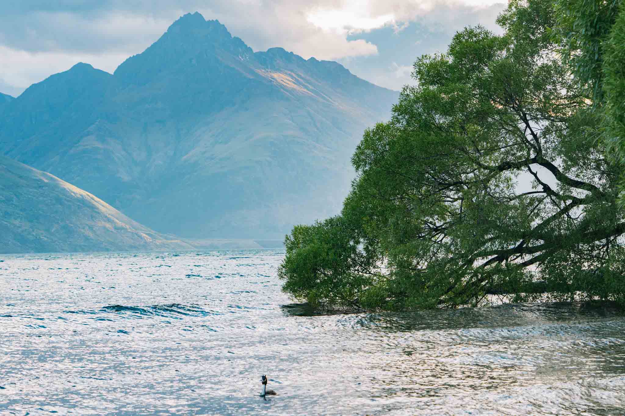 Lake Whakatipu 1