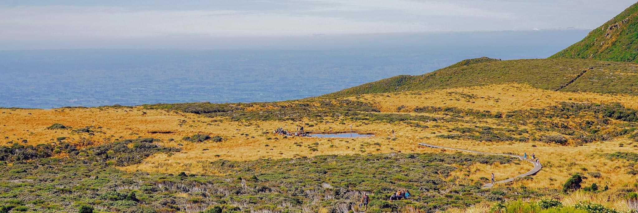 Track towards Pouakai Tarns