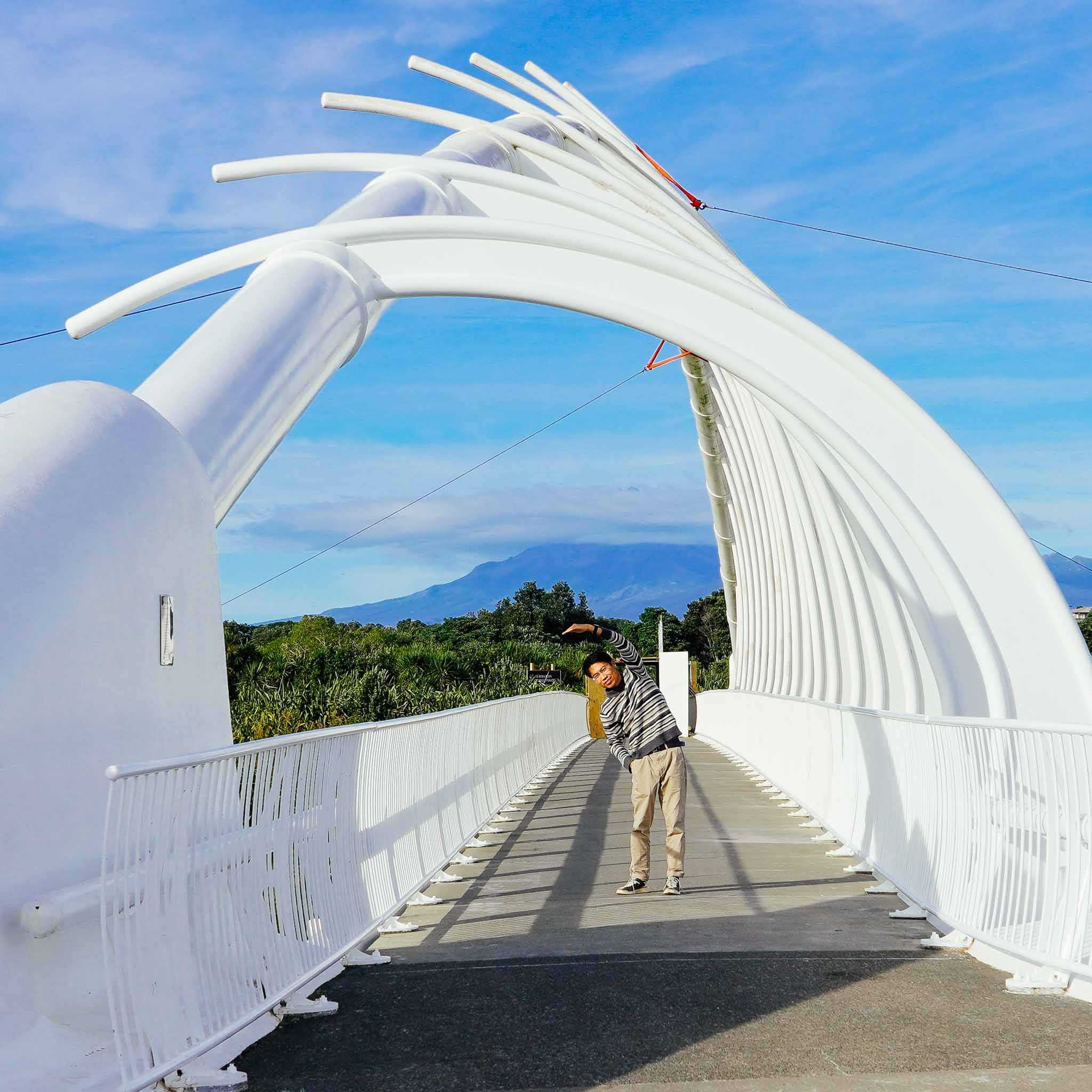 Te Rewa Rewa Bridge