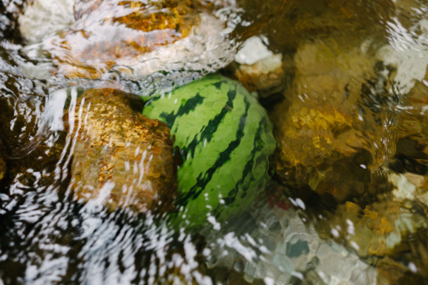 Cool a watermelon in the creek water