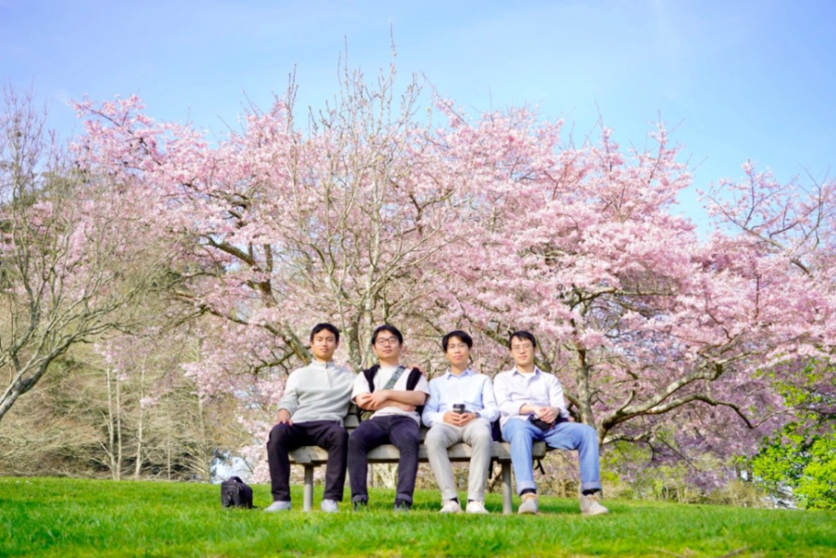 Under the sakura trees