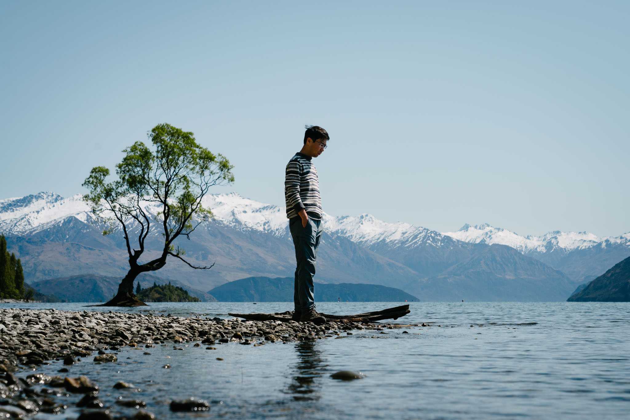 The Lonely Tree at Lake Wanaka