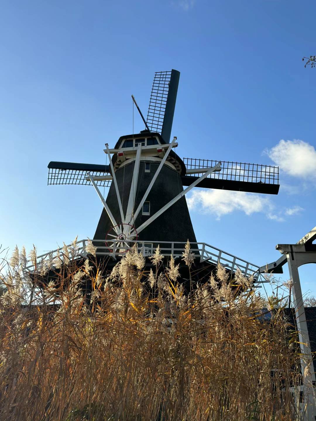 Windmill